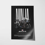 2025 Ninja ZX-6R Motorcycle Poster