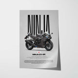 2025 Ninja ZX-6R Motorcycle Poster
