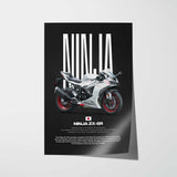 2025 Ninja ZX-6R Motorcycle Poster