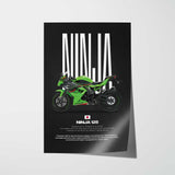 2024 Ninja 125 Motorcycle Poster