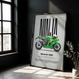 2021-2025 Ninja ZX-10RR Motorcycle Poster