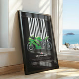 2021-2025 Ninja ZX-10RR Motorcycle Poster