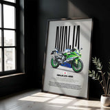 Ninja ZX-4RR Motorcycle Poster