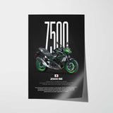 Z500 SE Motorcycle Poster