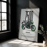 Z500 SE Motorcycle Poster