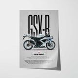 2008 GSX-R600 Motorcycle Poster
