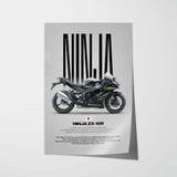 2025 Ninja ZX-10R Motorcycle Poster