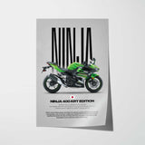2018-2019 Ninja 400 KRT Edition Motorcycle Poster