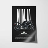 2017 Ninja 650 Motorcycle Poster