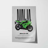 2006-2007 Ninja ZX-10R Motorcycle Poster