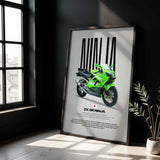 2002 Ninja ZX-9R Motorcycle Poster