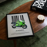2002 Ninja ZX-9R Motorcycle Poster