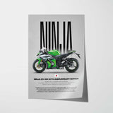 2015 Ninja ZX-10R 30th Anniversary Edition Motorcycle Poster