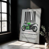 2015 Ninja ZX-10R 30th Anniversary Edition Motorcycle Poster
