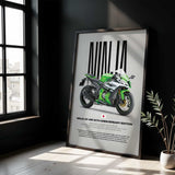 2015 Ninja ZX-10R 30th Anniversary Edition Motorcycle Poster
