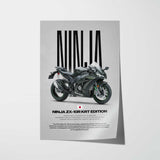 2016 Ninja ZX-10R Motorcycle Poster