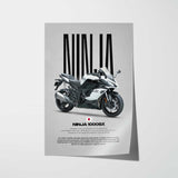 2020 Ninja 1000SX Motorcycle Poster