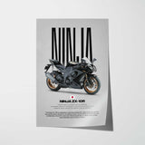 2010 Ninja ZX-10R Motorcycle Poster