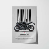 2011 Ninja ZX-10R Motorcycle Poster