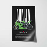 2009 Ninja ZX-6R Motorcycle Poster