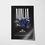 2019 Ninja 125 Motorcycle Poster