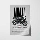 2015 Ninja 300 Special Edition Motorcycle Poster