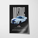 Mustang Shelby GT350 Car Poster