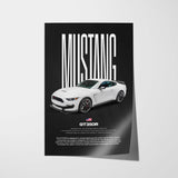 Mustang Shelby GT350R Car Poster
