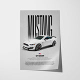 Mustang Shelby GT350R Car Poster